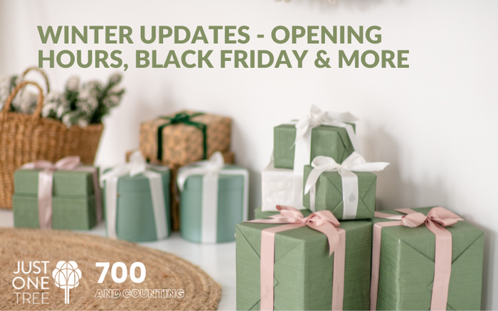 Winter Updates - Opening Hours, Black Friday & More